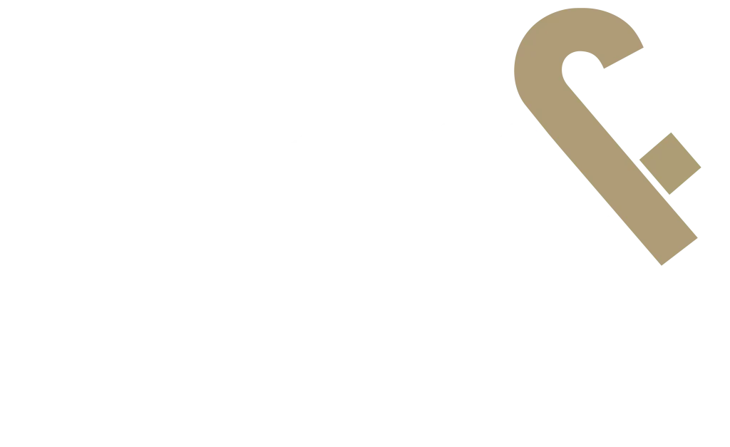 לוגו pro&sure